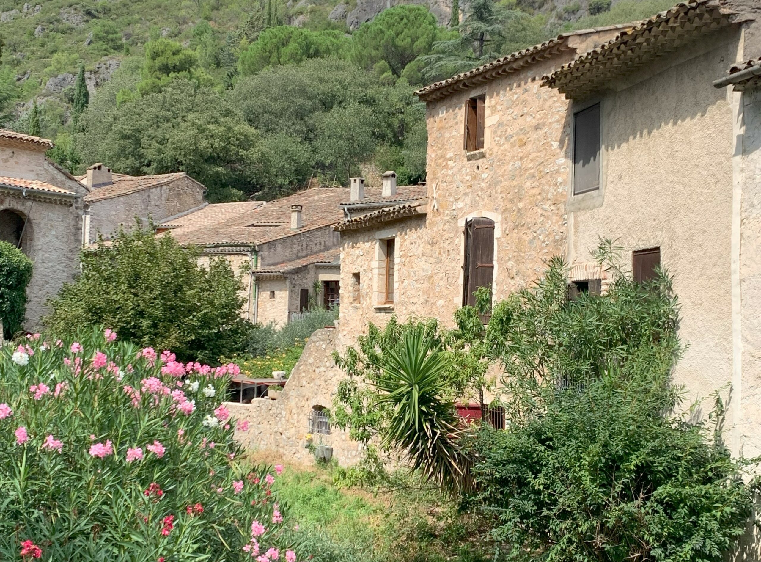 Saint Guilhem le Désert, village, maison cédrat